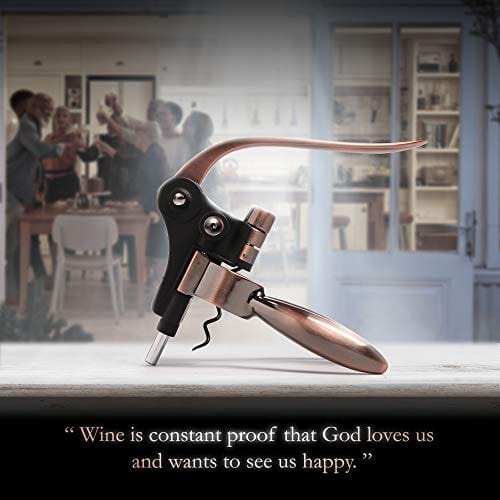 Wine Bottle Opener Corkscrew Set – Luxiluxy [2021 upgraded, does NOT break!] Including Foil Cutter, Bottle Stopper, Opener Stand and Extra Spiral - corkscrews wine opener set- wine opener kit Online